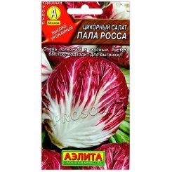 Цикорный салат Пала росса