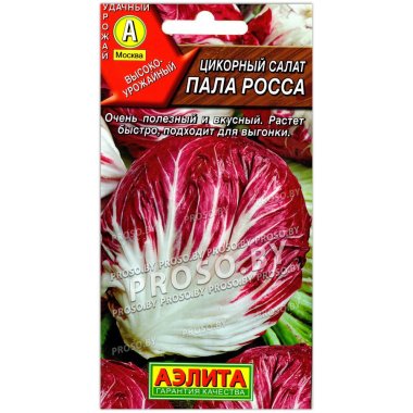 Цикорный салат Пала росса