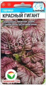 Горчица листовая (салатная) Красный гигант