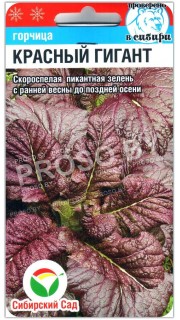 Горчица листовая (салатная) Красный гигант