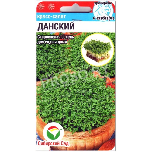 Кресс-салат Данский