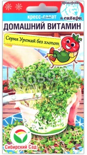 Кресс-салат Домашний витаминный