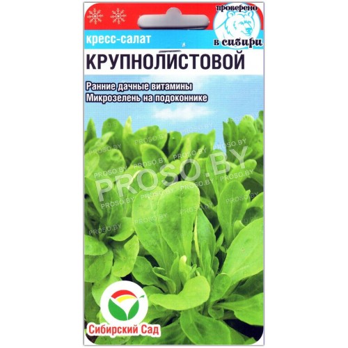 Кресс-салат Крупнолистовой
