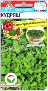 Кресс-салат Кудряш