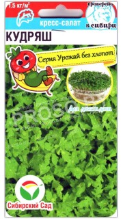 Кресс-салат Кудряш