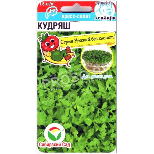 Кресс-салат Кудряш