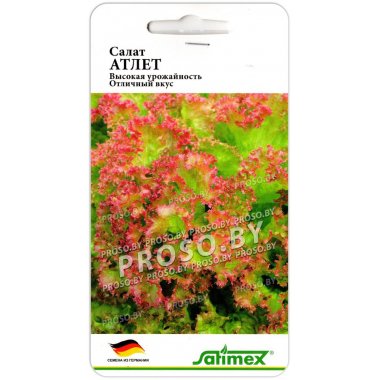 Салат Атлет