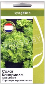 Салат батавия Канариоле