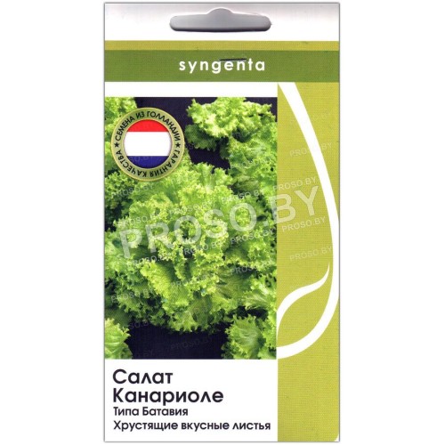Салат батавия Канариоле