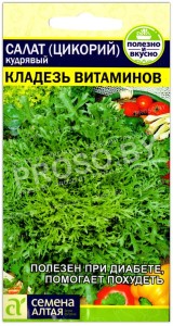 Салат (цикорий) кудрявый Кладезь витаминов