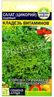 Салат (цикорий) кудрявый Кладезь витаминов