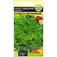 Салат (цикорий) кудрявый Кладезь витаминов