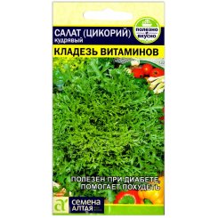 Салат (цикорий) кудрявый Кладезь витаминов