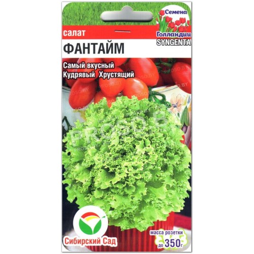 Салат Фантайм