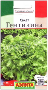 Салат Гентилина