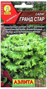 Салат Гранд стар