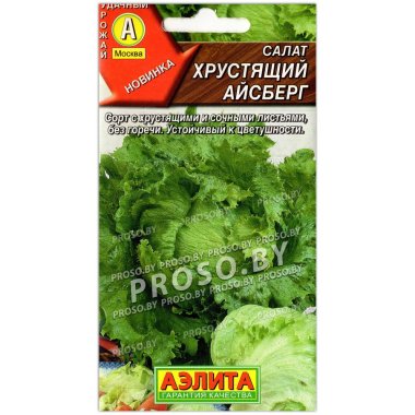 Салат Хрустящий айсберг