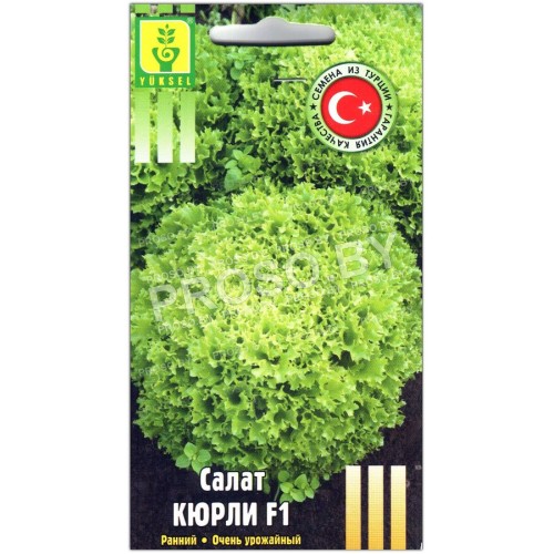 Салат Кюрли F1
