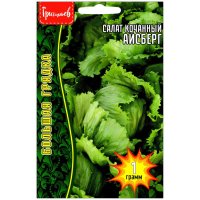 Салат кочанный Айсберг