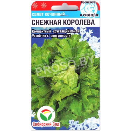 Салат кочанный Снежная королева