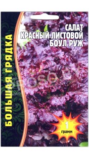 Салат красный листовой Боул руж