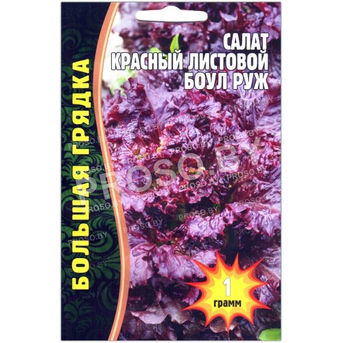Салат красный листовой Боул руж