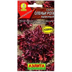 Салат красный Оленьи рога