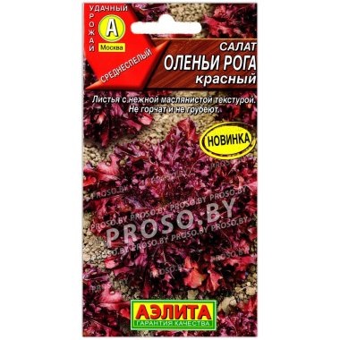 Салат красный Оленьи рога