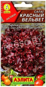 Салат Красный вельвет