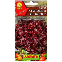 Салат Красный вельвет
