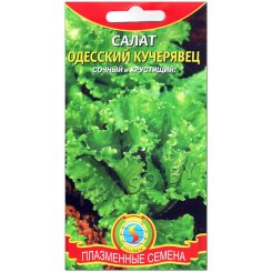 Салат Кучерявец одесский