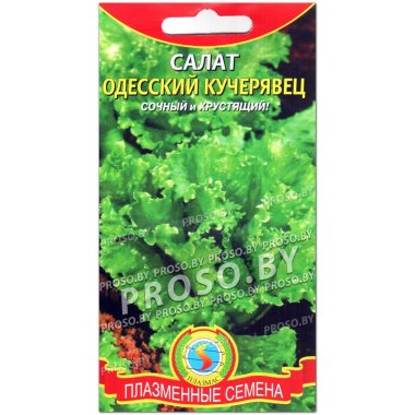 Салат Кучерявец одесский