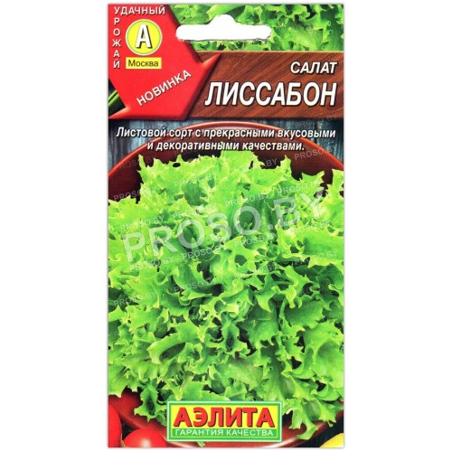 Салат Лиссабон