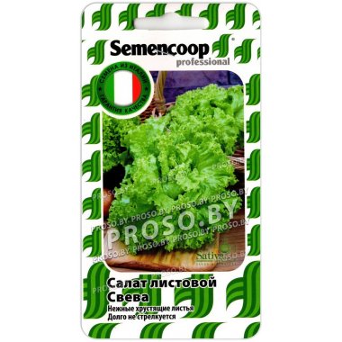 Салат листовой Свева