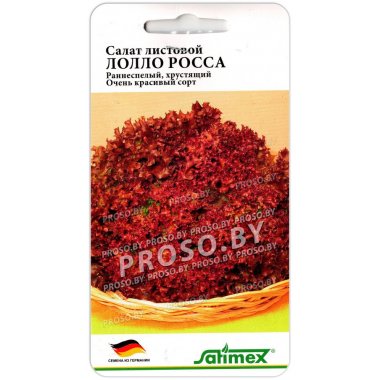 Салат Лолло Росса