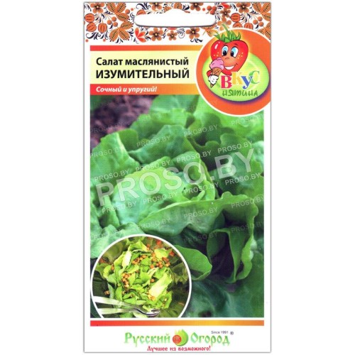 Салат маслянистый Изумительный-1