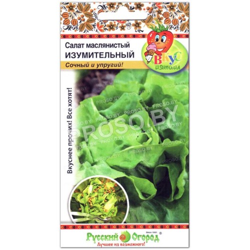 Салат маслянистый Изумительный