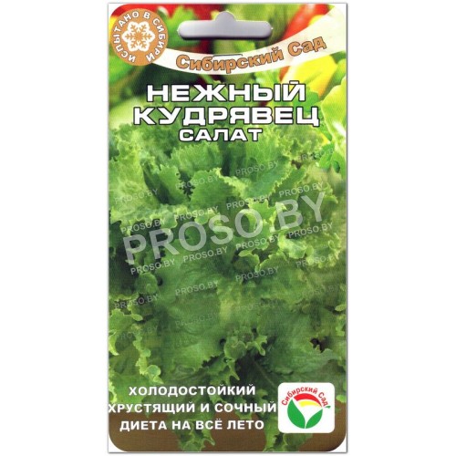 Салат Нежный кудрявец