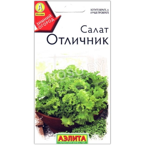Салат Отличник