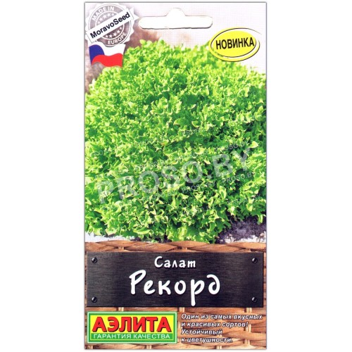 Салат Рекорд