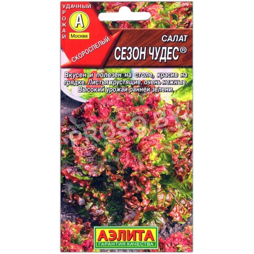 Салат Сезон чудес