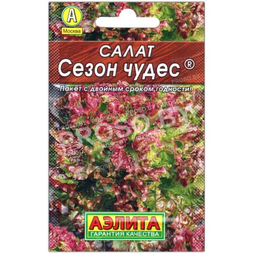 Салат Сезон чудес-1