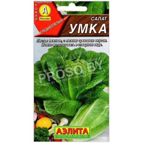 Салат Умка