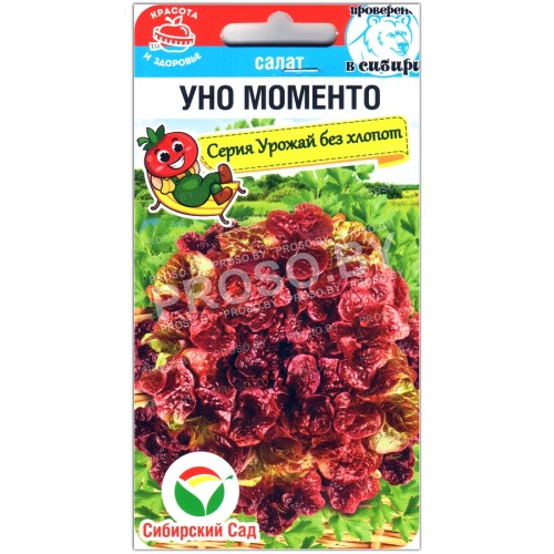 Салат Уно моменто