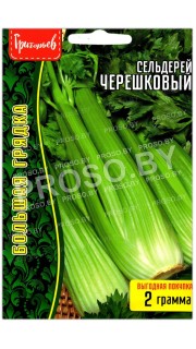 Сельдерей Черешковый