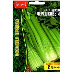 Сельдерей Черешковый