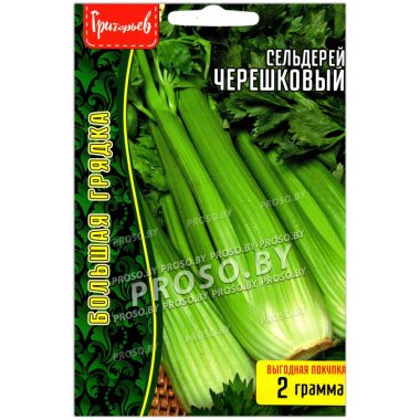 Сельдерей Черешковый