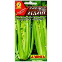 Сельдерей черешковый и листовой Атлант Сельдерей черешковый и листовой Атлант