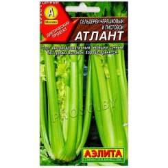 Сельдерей черешковый и листовой Атлант