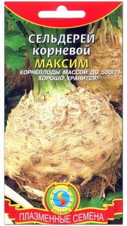 Сельдерей корневой Максим